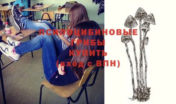 метадон Заволжск