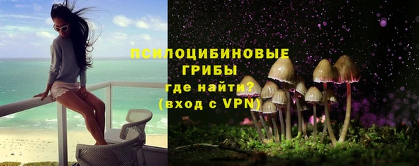 эйфоретик Заводоуковск